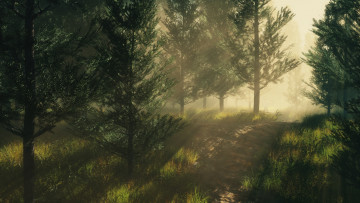 Картинка 3д+графика природа+ nature дорога лес