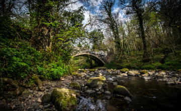 Картинка природа реки озера лес река мост арка