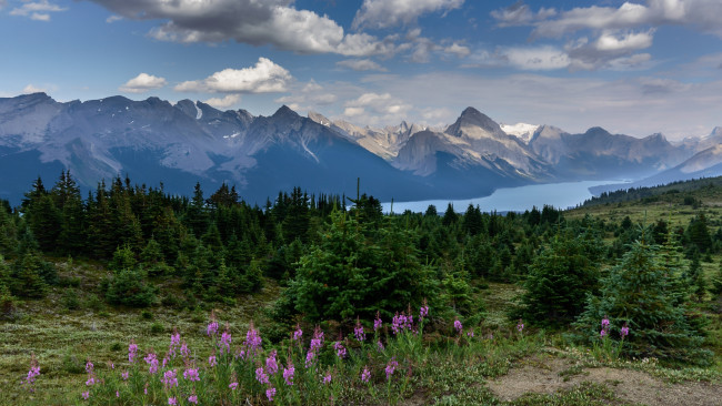 Обои картинки фото природа, пейзажи, горы, река, луг, трава, цветы