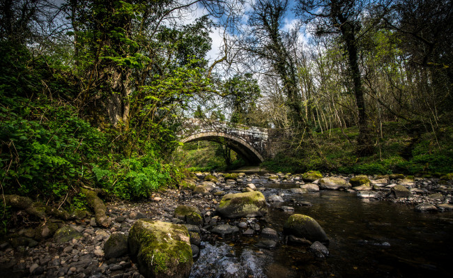 Обои картинки фото природа, реки, озера, лес, река, мост, арка