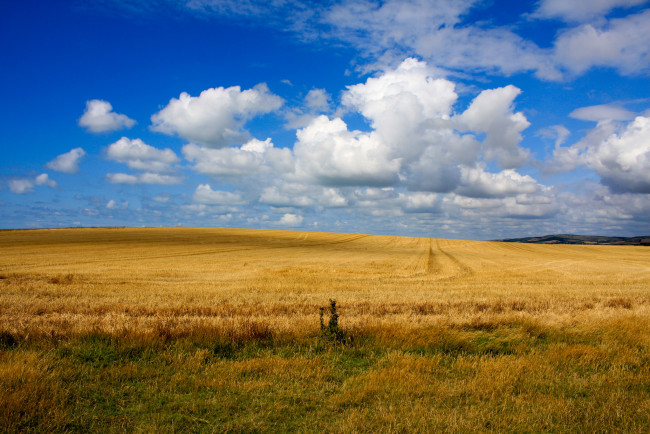 Обои картинки фото природа, поля, поле, облака