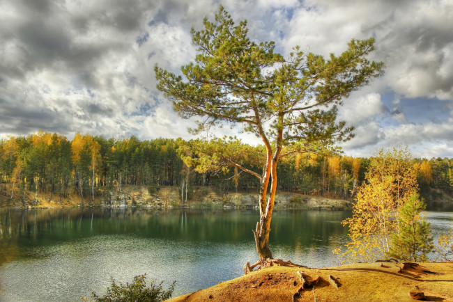Обои картинки фото природа, реки, озера, сосна