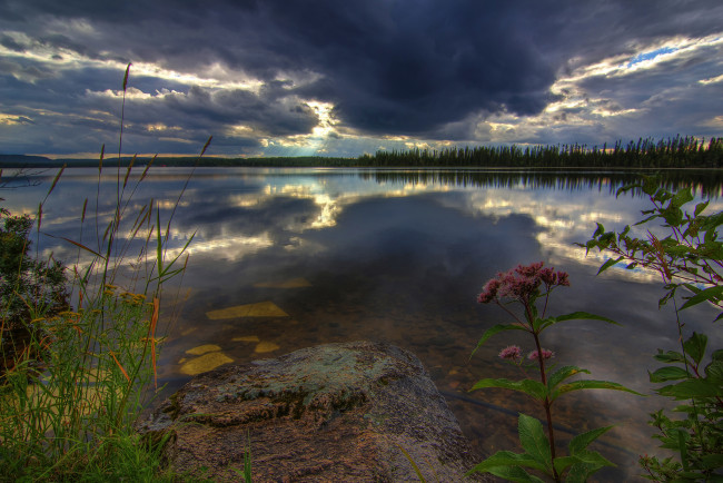 Обои картинки фото природа, восходы, закаты, лес, река, тучи, заря