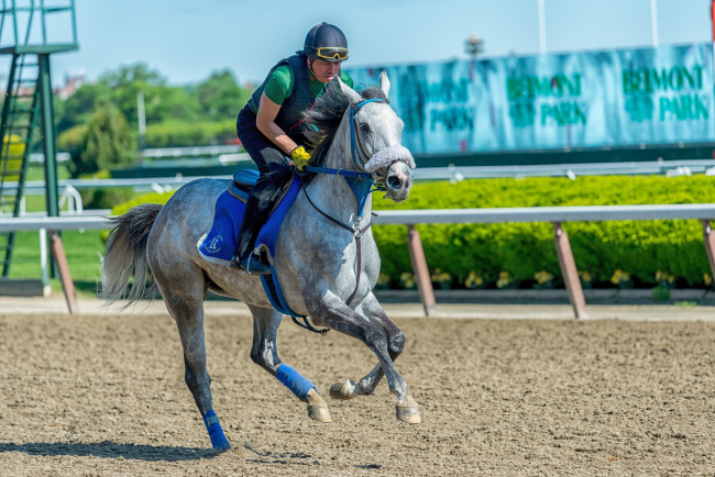 Обои картинки фото спорт, конный спорт, ипподром, скачки