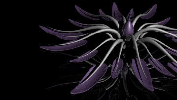 Картинка 3д+графика цветы+ flowers цвета фон узор