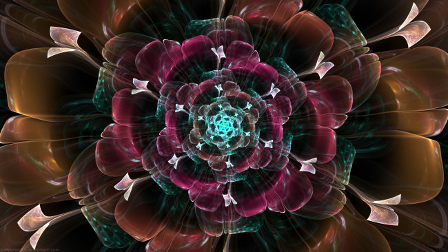 Обои картинки фото 3д графика, фракталы , fractal, цвета, фон, узор