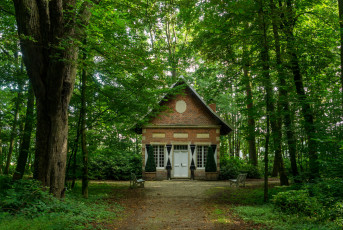 Картинка города -+здания +дома лес