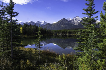 Картинка природа реки озера река лес