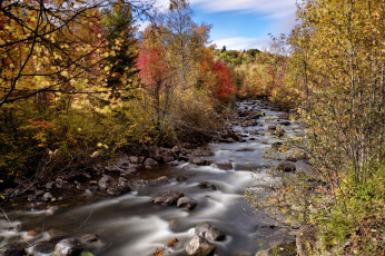 Картинка природа реки озера река лес