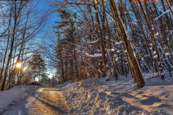 Картинка природа зима снег