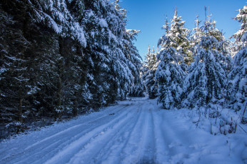 Картинка природа зима снег