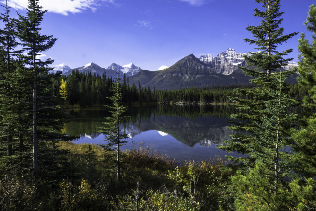 Обои картинки фото природа, реки, озера, река, лес