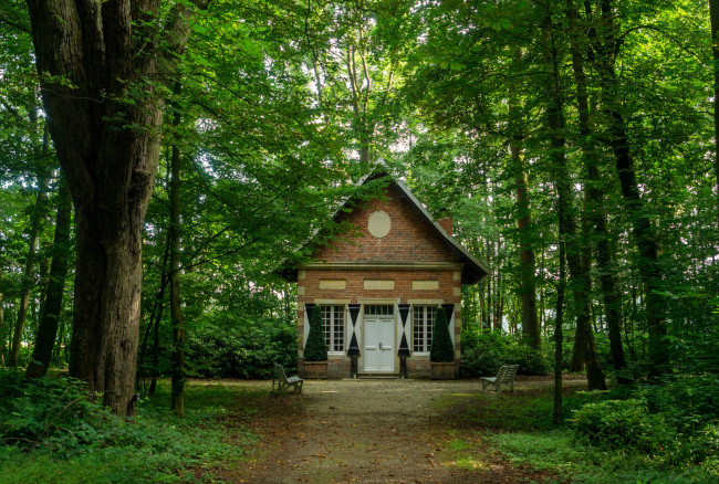 Обои картинки фото города, - здания,  дома, лес