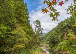 Картинка природа пейзажи простор