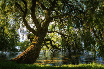 Картинка природа реки озера простор