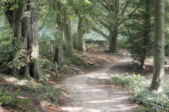 Картинка природа дороги простор