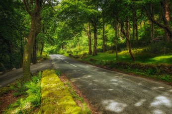 Картинка природа дороги простор