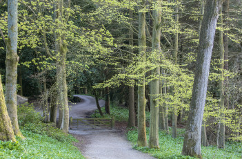 Картинка природа дороги простор