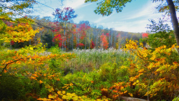 Картинка природа пейзажи простор