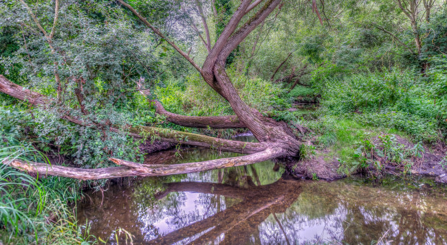 Обои картинки фото природа, реки, озера, простор