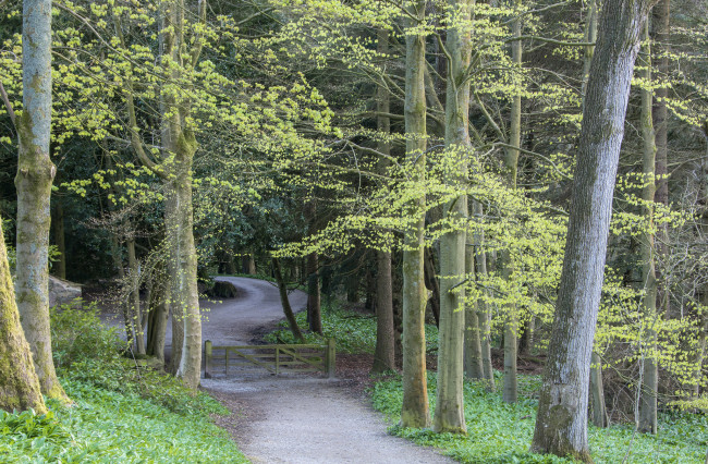 Обои картинки фото природа, дороги, простор