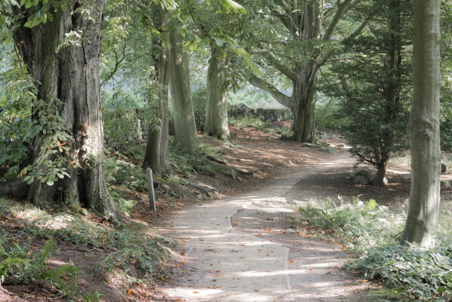 Обои картинки фото природа, дороги, простор