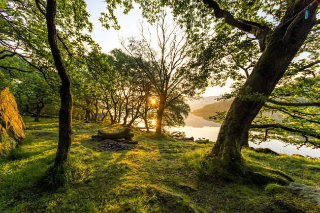 Обои картинки фото природа, лес, простор