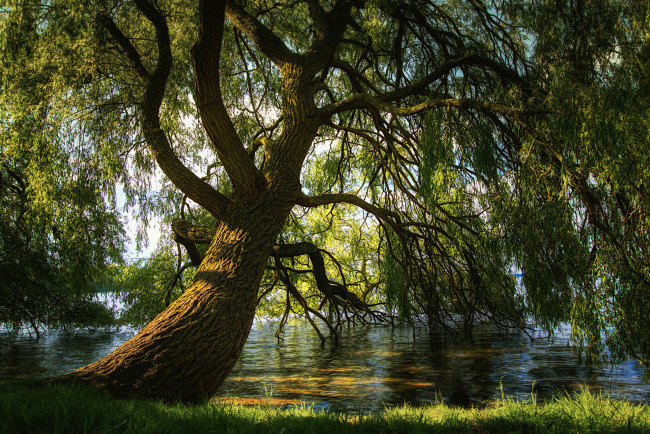 Обои картинки фото природа, реки, озера, простор