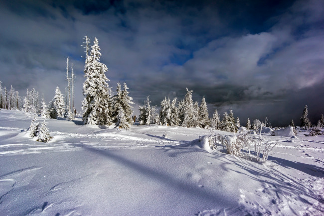 Обои картинки фото природа, зима, простор