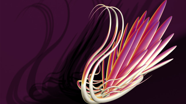 Обои картинки фото 3д графика, животные , animals, лебедь, птица