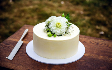 Картинка еда торты георгин торт белая глазурь