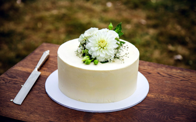 Обои картинки фото еда, торты, георгин, торт, белая, глазурь