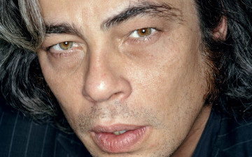 обоя мужчины, benicio del toro, актер, лицо