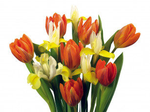 Картинка цветы букеты композиции