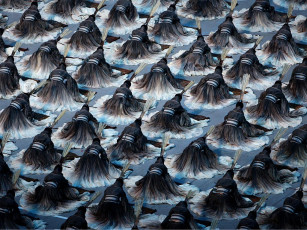 Картинка beijing 2008 разное люди