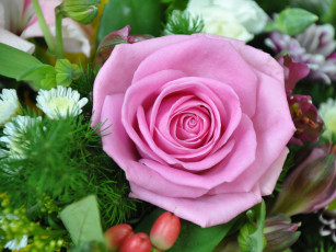 Картинка цветы розы