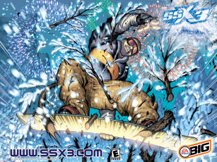 обоя ssx, видео, игры