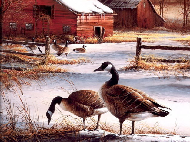 Обои картинки фото рисованные, животные