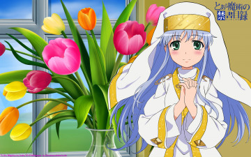 Картинка аниме toaru majutsu no index