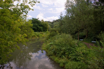 Картинка природа реки озера скамейки облака речка деревья небо