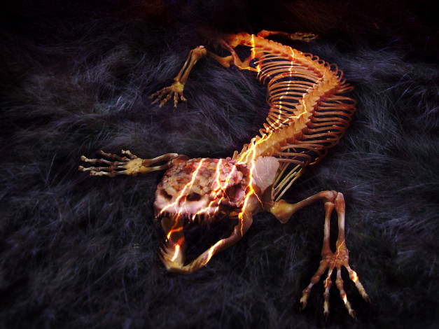 Обои картинки фото bone, eater, кино, фильмы, пожиратель