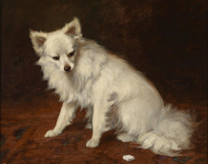 Картинка рисованные gabrielle rainer istvanffy