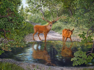 Картинка рисованные андрей рубаненко олени