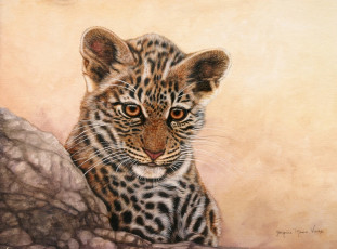 Картинка рисованные jacquie vaux маленький хищник