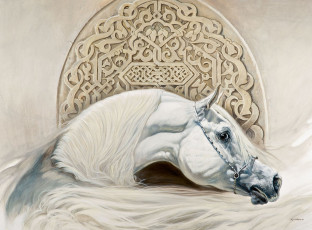 Картинка рисованные renato casaro арабский скакун