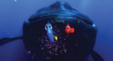 Картинка finding nemo мультфильмы в поисках немо