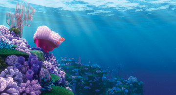 Картинка finding nemo мультфильмы в поисках немо