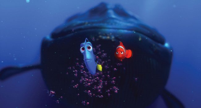Обои картинки фото finding, nemo, мультфильмы, в, поисках, немо