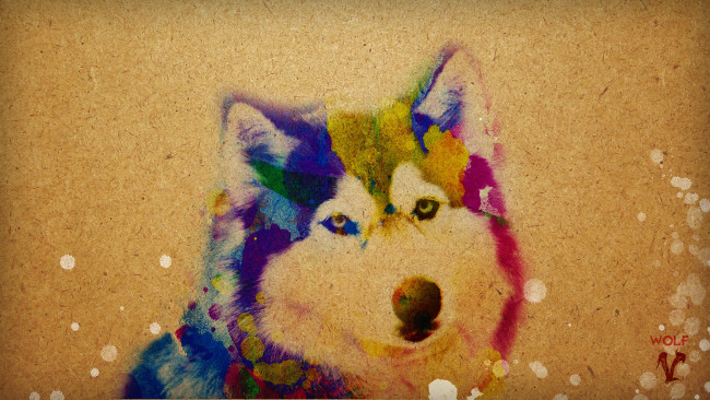 Обои картинки фото рисованные, животные, собаки, собака