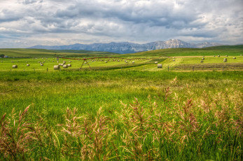 Картинка calgary природа поля поле облака